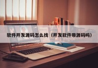 软件开发源码怎么找（开发软件带源码吗）