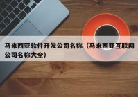 马来西亚软件开发公司名称（马来西亚互联网公司名称大全）