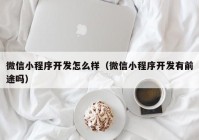 微信小程序开发怎么样（微信小程序开发有前途吗）